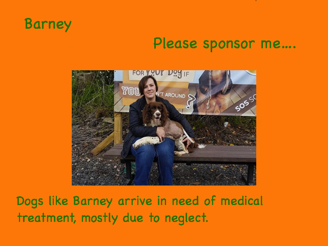 Barney 1.jpg